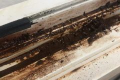 81540121_2467084113509147_4341974226996035584_n