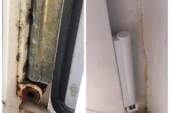 81781523_2467083923509166_7821846907348582400_n