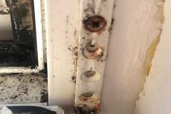 82325897_2467084573509101_6051059860034813952_n