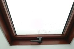 70458273_2355454101338816_3792318507320868864_n