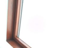 71093165_2355454131338813_7756290751335497728_n