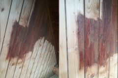 78952923_2438014983082727_1590074378484187136_o