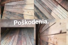 79901909_2438014076416151_6692140998056738816_o