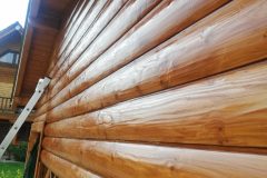 67485395_548396659032655_7508444689947688960_n