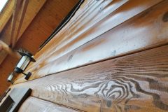 68311316_2324844107633968_5085612556911902720_n