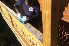 75294174_2396437040573855_9211402572886179840_n