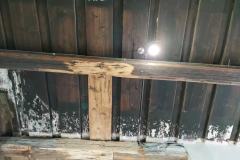 129722657_2728941683990054_8353238909303953091_o