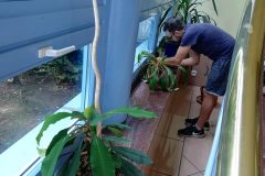 65045927_2296929343857959_1173092084073103360_n