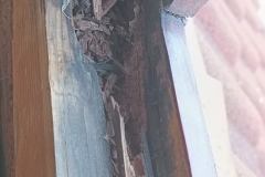 IMG_20220620_083732