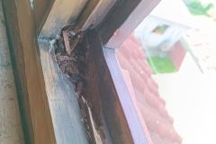 IMG_20220620_083740