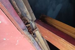 IMG_20220620_083753