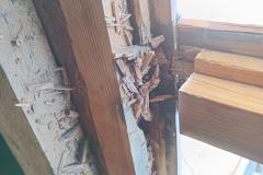 IMG_20220620_084138