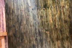 IMG-20220401-WA0009