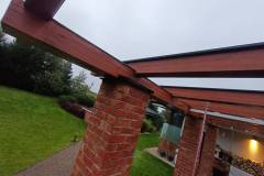 IMG_20220926_073712